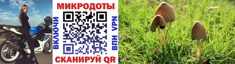 Псилоцибиновые грибы Cubensis  Купить где  Тюкалинск 